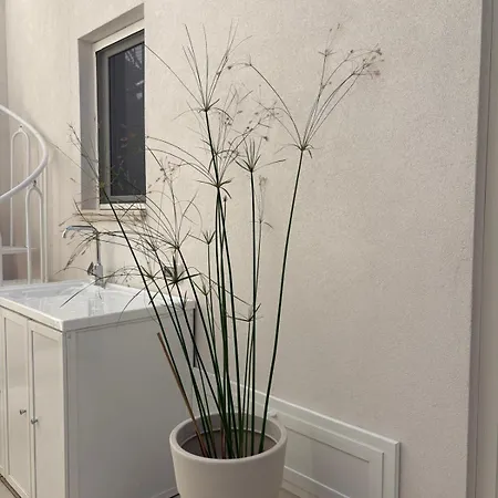 Don Nini Vakantiehuis